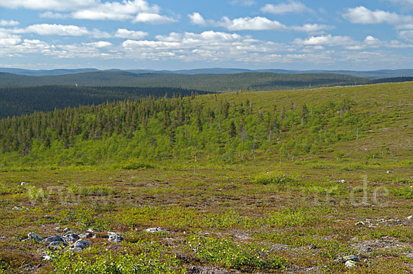 Finnland (Finland)