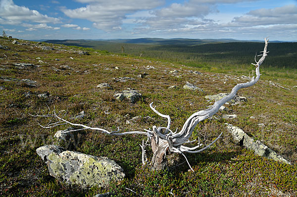 Finnland (Finland)