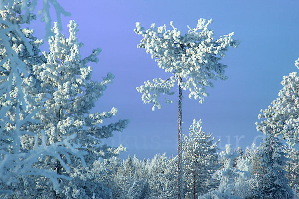 Finnland (Finland)