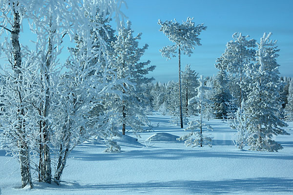 Finnland (Finland)
