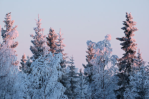 Finnland (Finland)