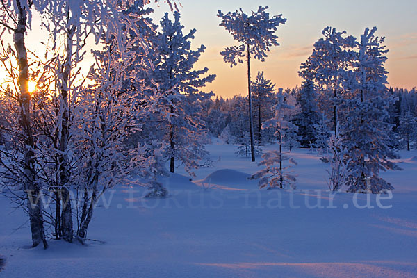 Finnland (Finland)