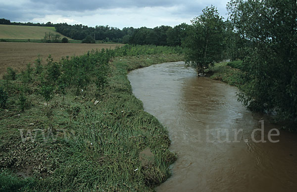 Fluß (river)