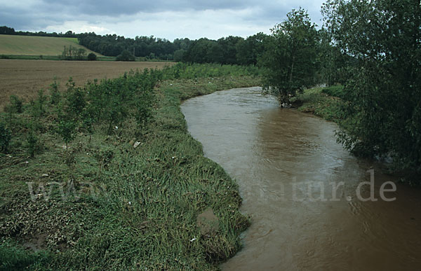 Fluß (river)