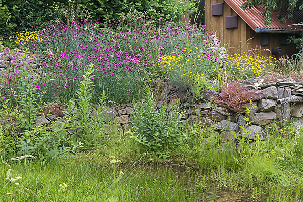 Garten (garden)