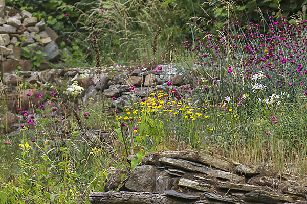 Garten (garden)