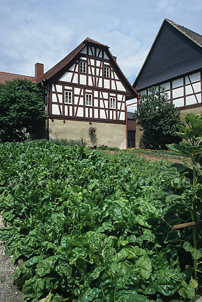 Garten (garden)