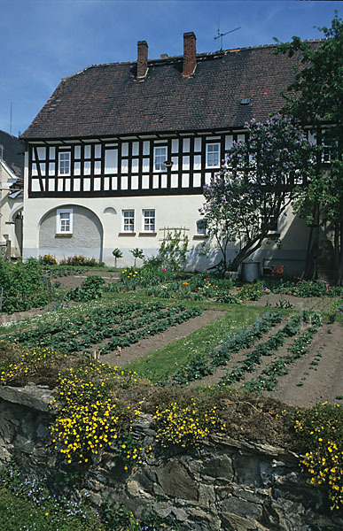 Garten (garden)