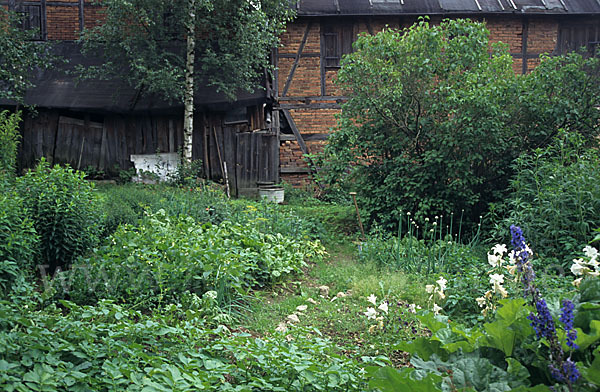 Garten (garden)