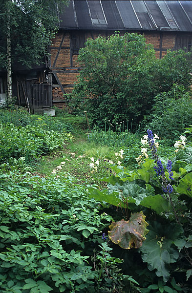 Garten (garden)