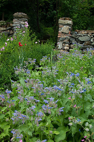 Garten (garden)