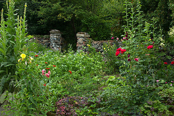 Garten (garden)