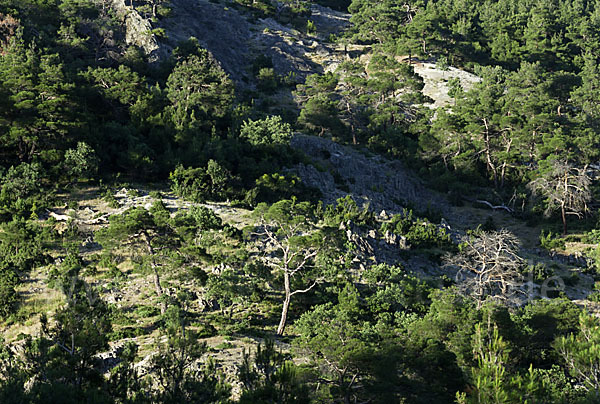 Griechenland (Greece)