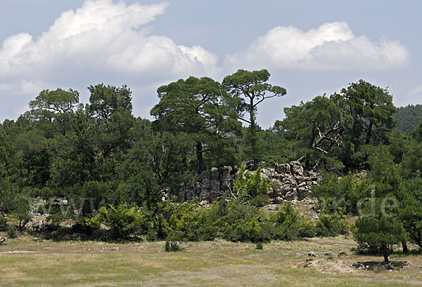 Griechenland (Greece)