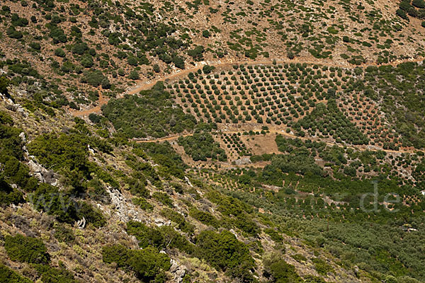 Griechenland (Greece)