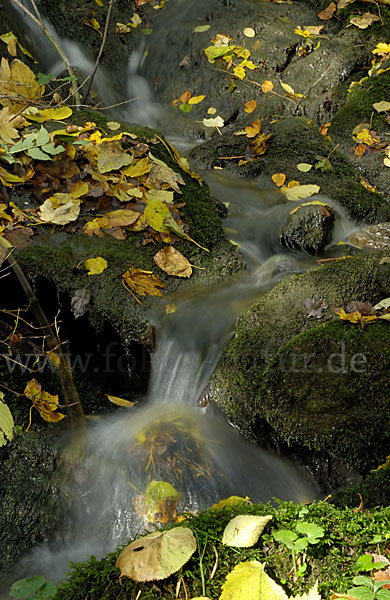 Herbst (autumn)