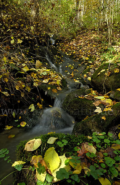 Herbst (autumn)