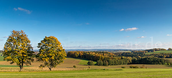 Herbst (autumn)