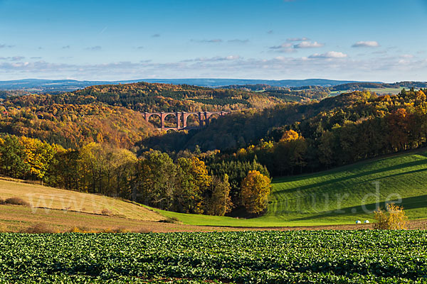 Herbst (autumn)