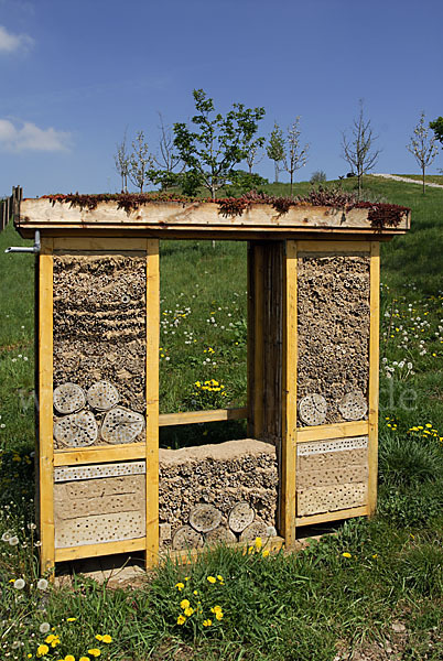 Insektenhotel (nisthilfe)