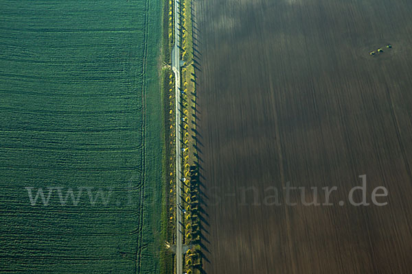 Intensive Landwirtschaft (industrial agriculture)