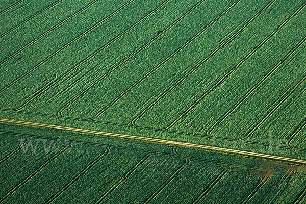 Intensive Landwirtschaft (industrial agriculture)