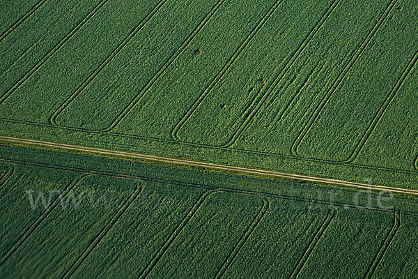 Intensive Landwirtschaft (industrial agriculture)