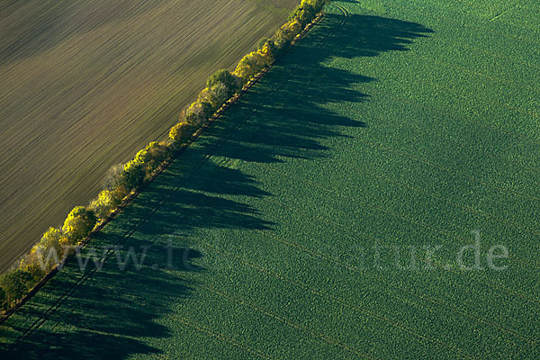 Intensive Landwirtschaft (industrial agriculture)