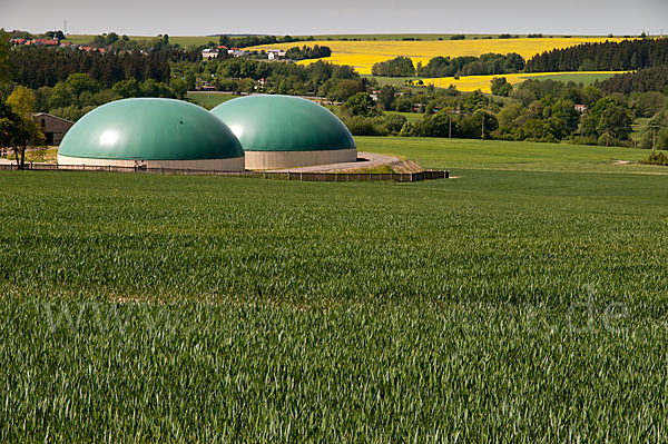 Intensive Landwirtschaft (industrial agriculture)