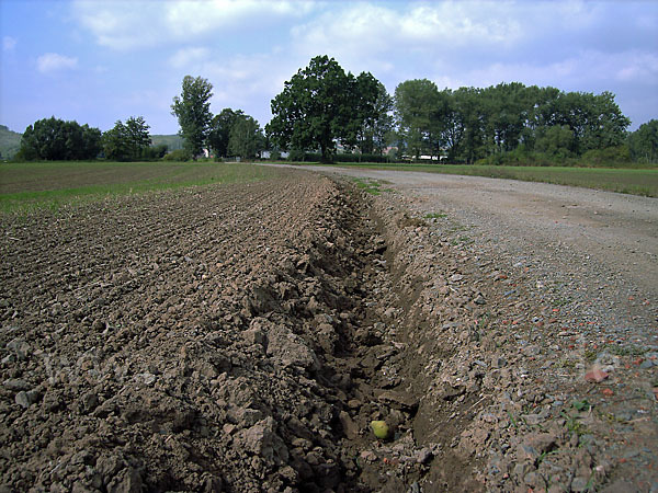 Intensive Landwirtschaft (industrial agriculture)