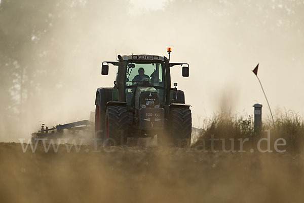 Intensive Landwirtschaft (industrial agriculture)