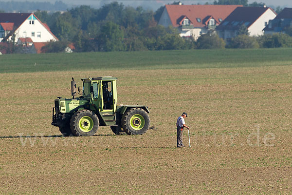 Intensive Landwirtschaft (industrial agriculture)