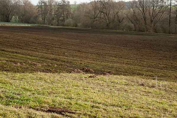 Intensive Landwirtschaft (industrial agriculture)