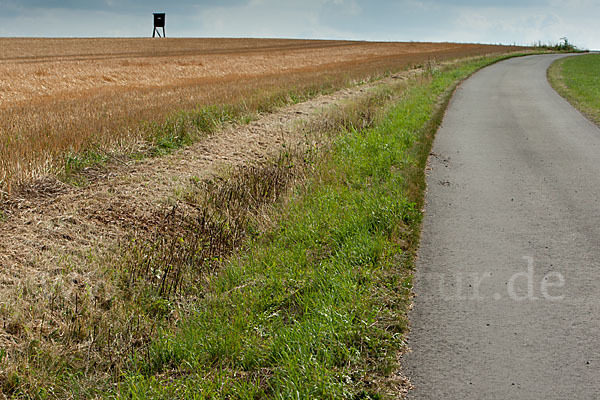 Intensive Landwirtschaft (industrial agriculture)