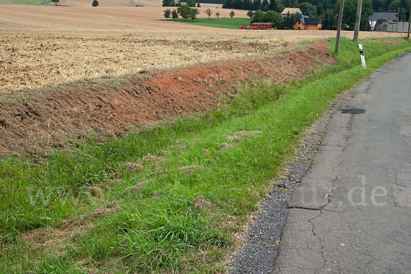 Intensive Landwirtschaft (industrial agriculture)