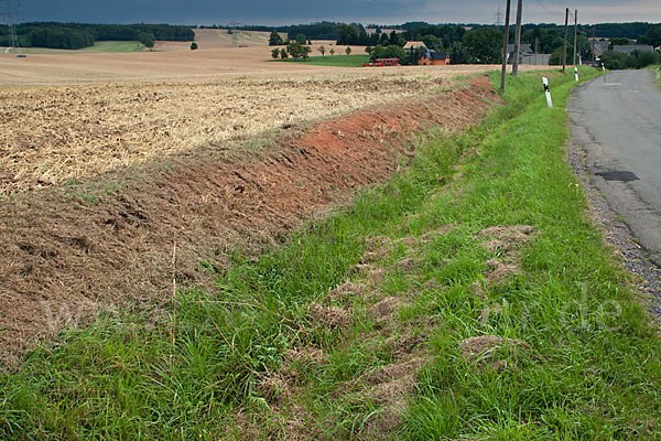 Intensive Landwirtschaft (industrial agriculture)