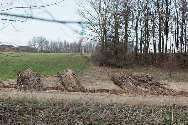 Intensive Landwirtschaft (industrial agriculture)