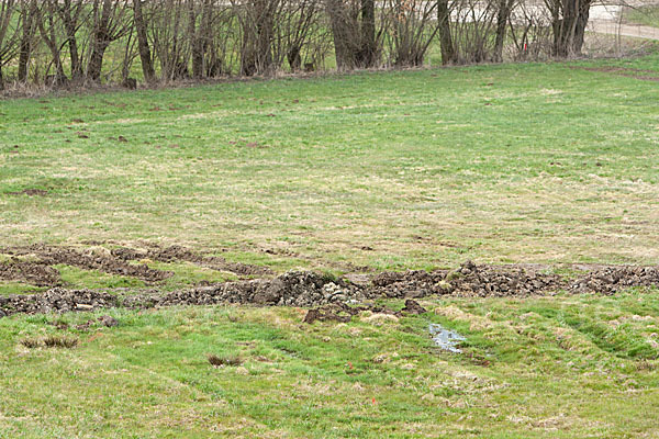 Intensive Landwirtschaft (industrial agriculture)