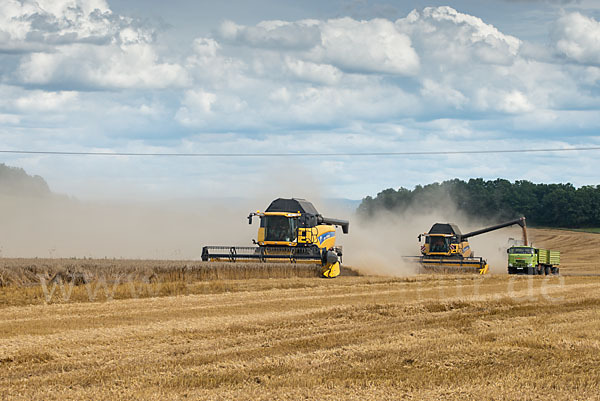 Intensive Landwirtschaft (industrial agriculture)