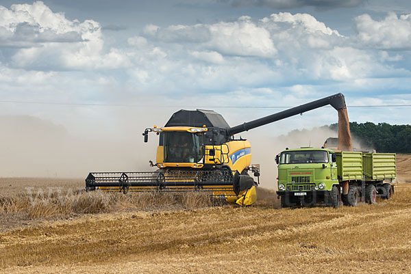 Intensive Landwirtschaft (industrial agriculture)