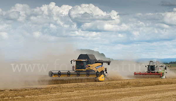 Intensive Landwirtschaft (industrial agriculture)