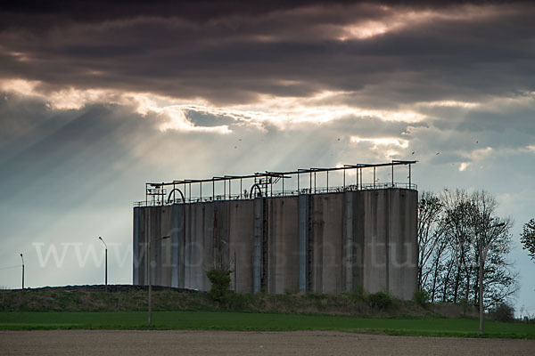 Intensive Landwirtschaft (industrial agriculture)