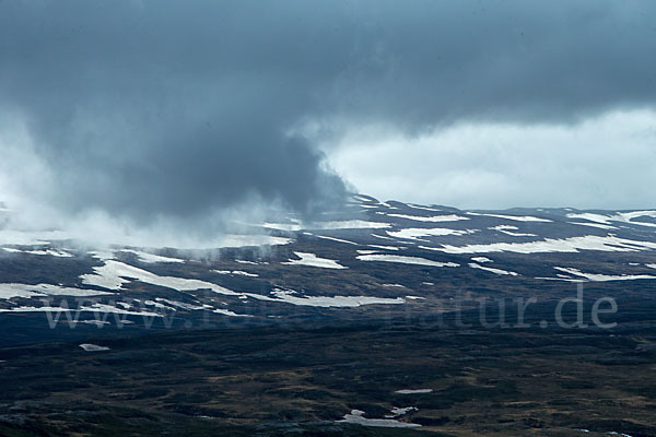 Island (Iceland)