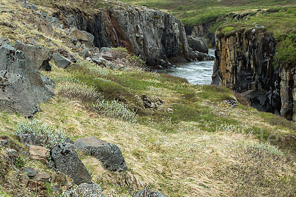 Island (Iceland)