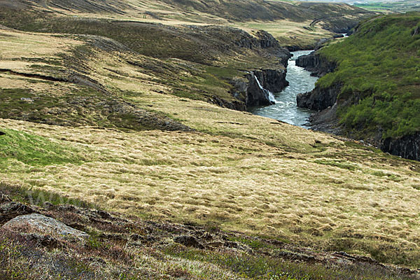 Island (Iceland)