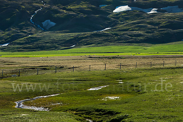 Island (Iceland)