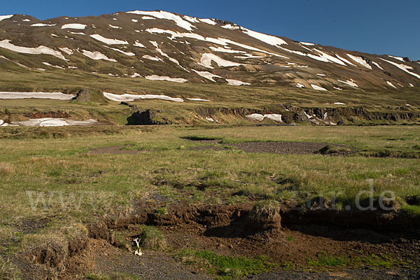 Island (Iceland)