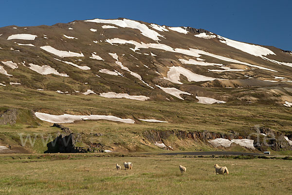 Island (Iceland)