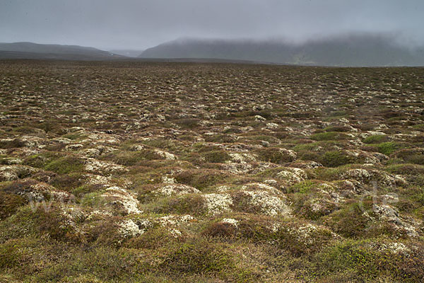 Island (Iceland)