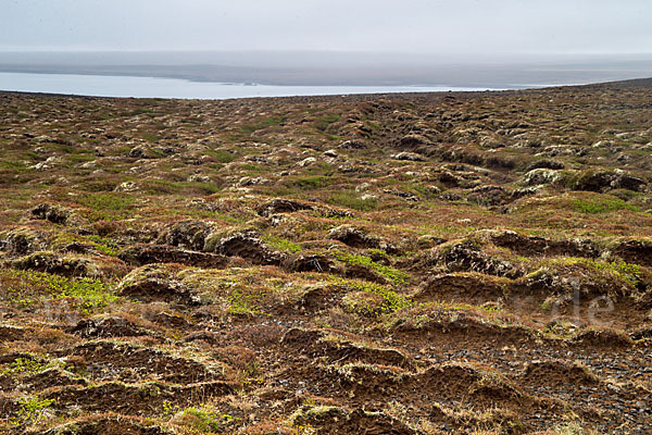 Island (Iceland)